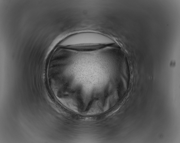 X0000088900056200707061504