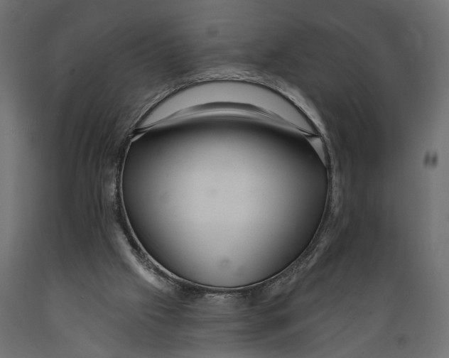 X0000088900057200707061504