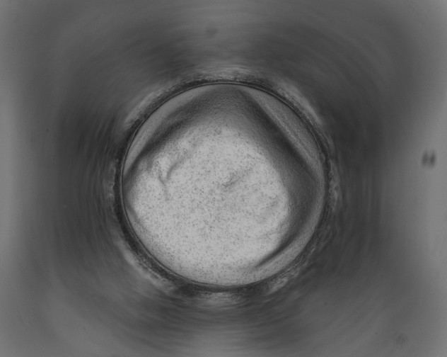 X0000088900058200707061504