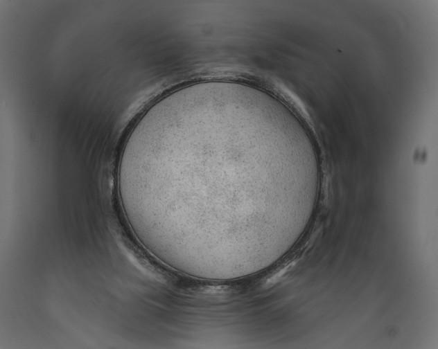 X0000088900059200707061504