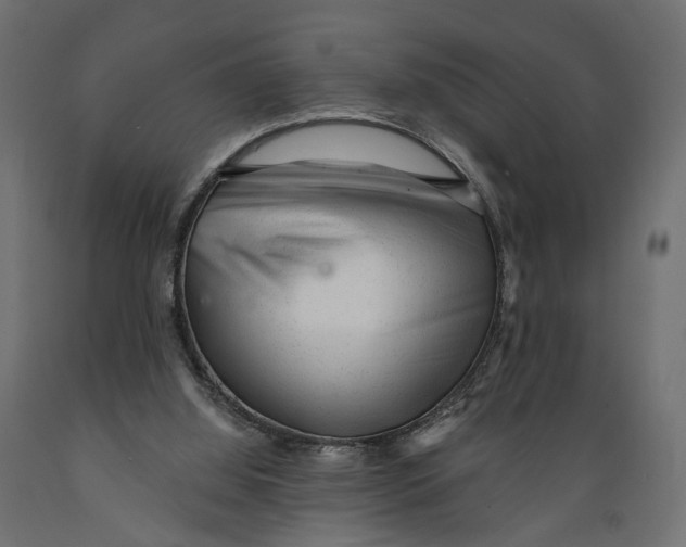 X0000088900060200707061504