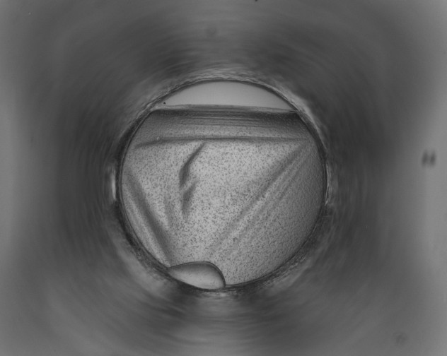 X0000088900061200707061504