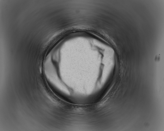 X0000088900062200707061504