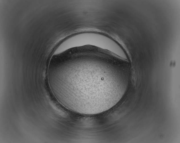 X0000088900063200707061504