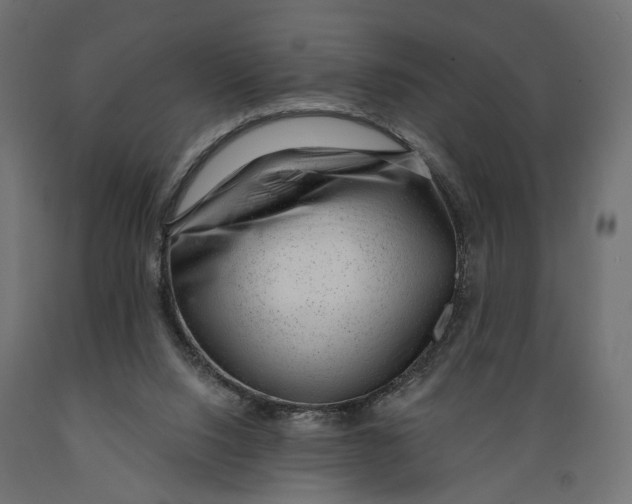 X0000088900064200707061504