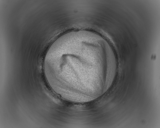 X0000088900065200707061504