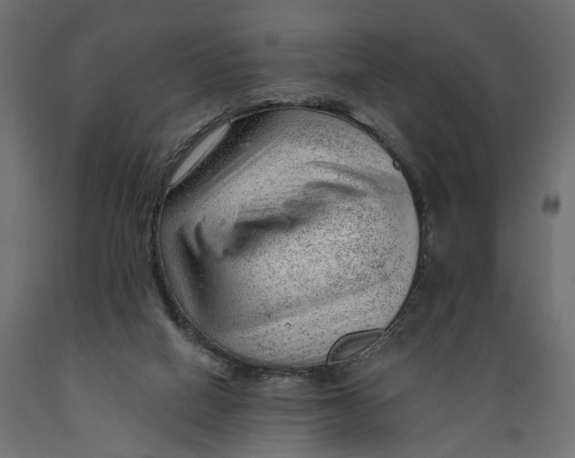 X0000088900066200707061504