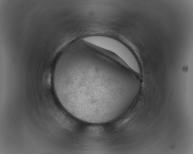 X0000088900067200707061504