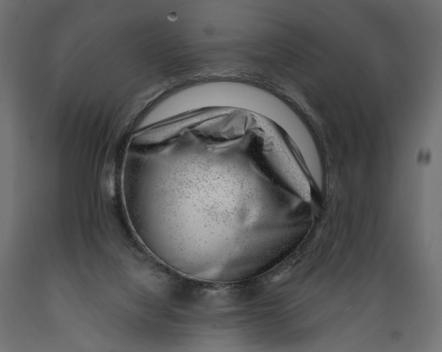 X0000088900068200707061504