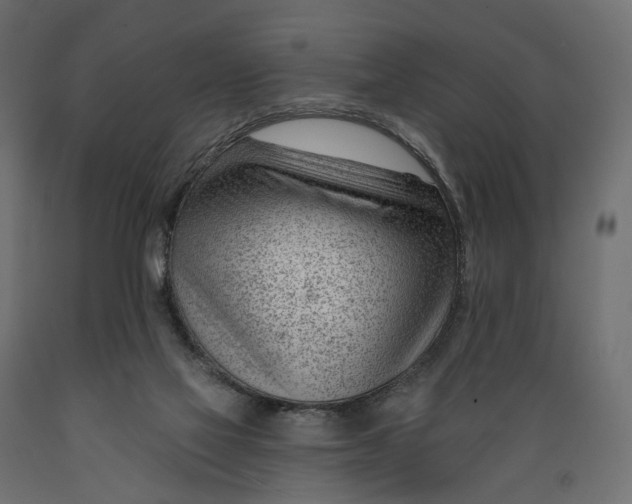 X0000088900069200707061504