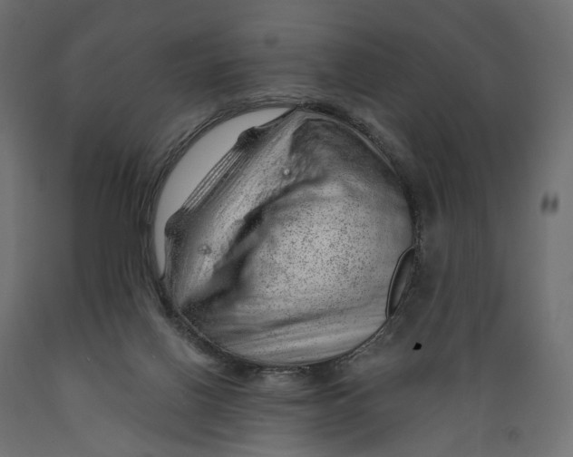 X0000088900070200707061504