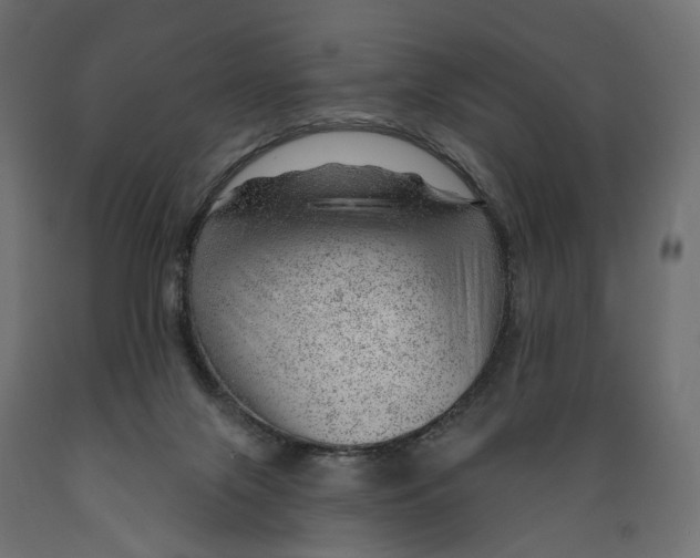 X0000088900071200707061504