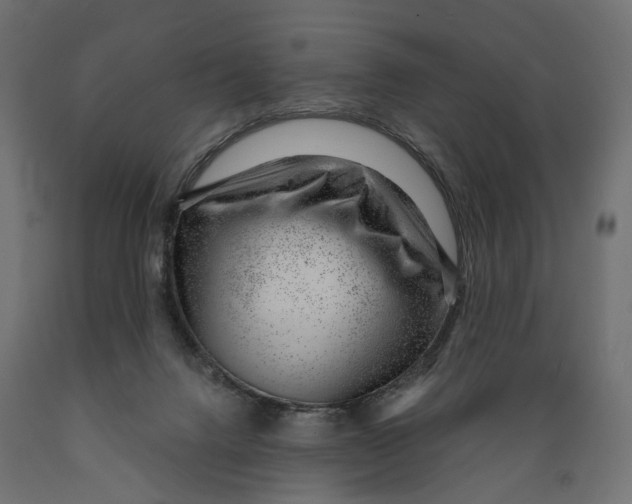 X0000088900072200707061504