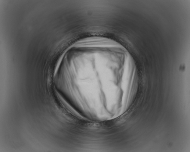 X0000088900074200707061504