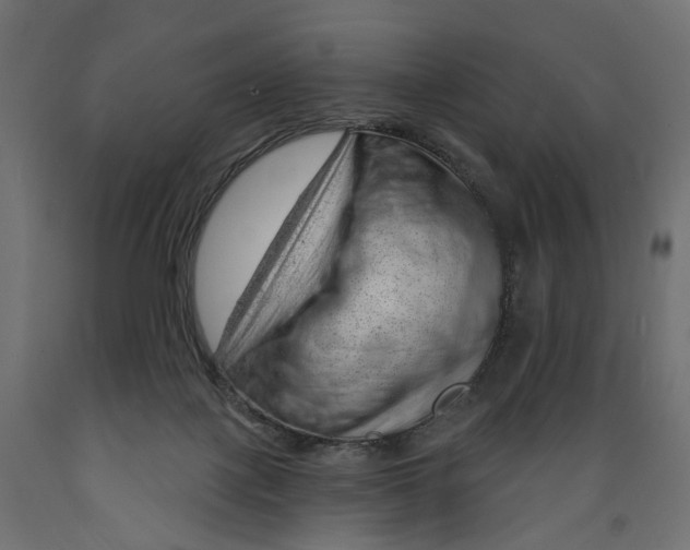 X0000088900075200707061504