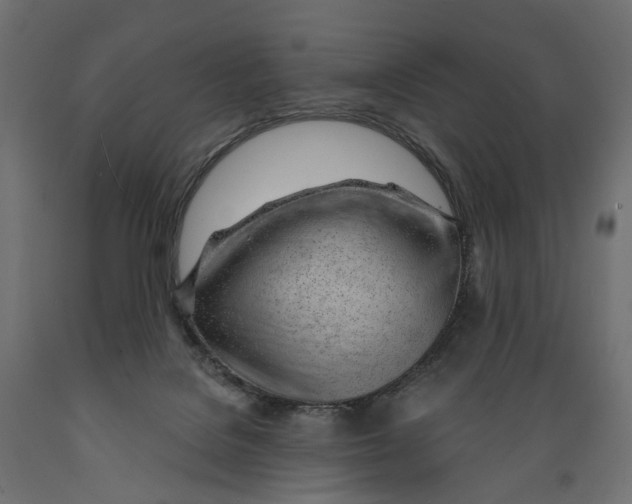 X0000088900076200707061504