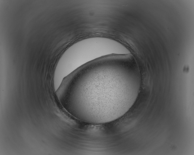 X0000088900077200707061504