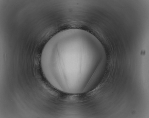 X0000088900078200707061504