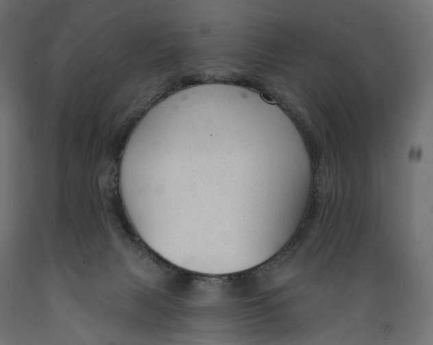 X0000088900079200707061504