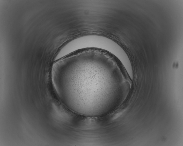 X0000088900080200707061504