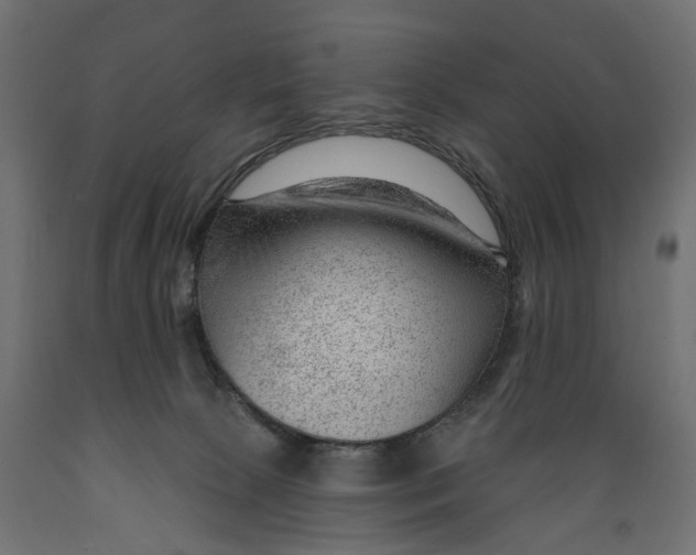 X0000088900081200707061504