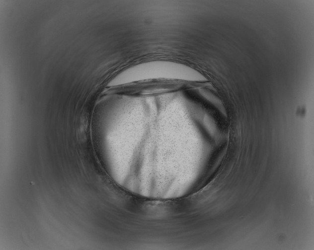 X0000088900082200707061504