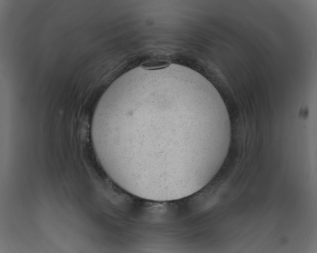 X0000088900083200707061504