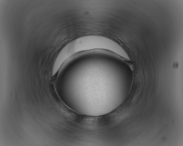 X0000088900084200707061504