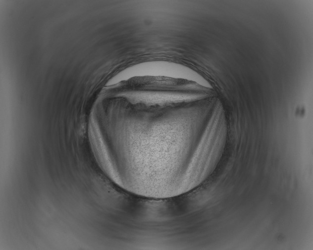 X0000088900085200707061504