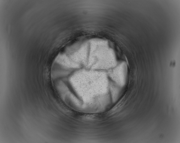 X0000088900086200707061504