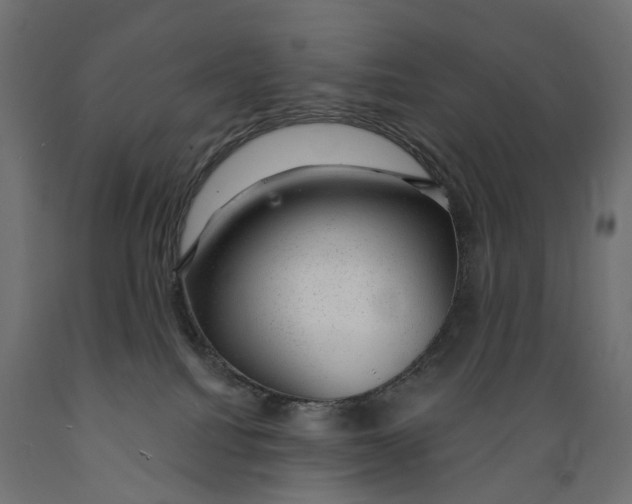 X0000088900088200707061504