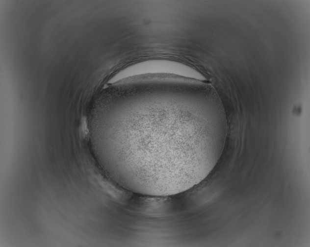 X0000088900089200707061504