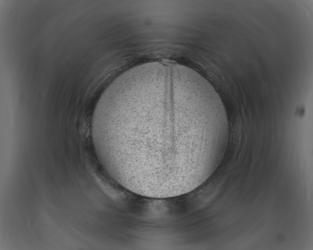 X0000088900091200707061504