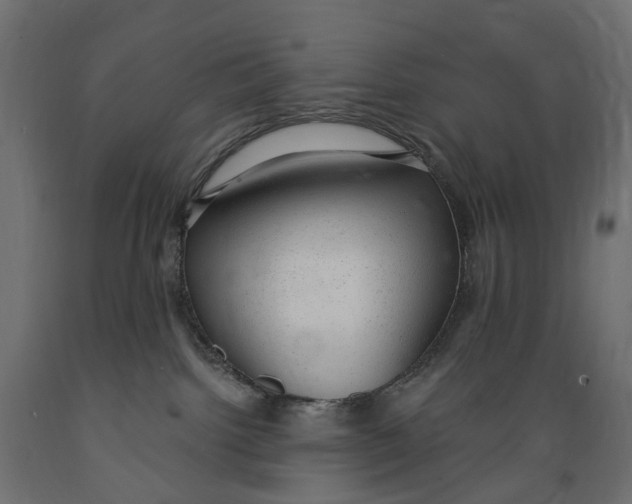 X0000088900092200707061504