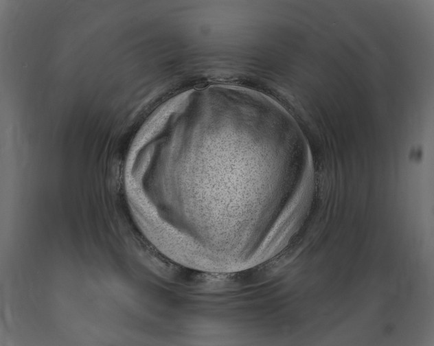 X0000088900093200707061504