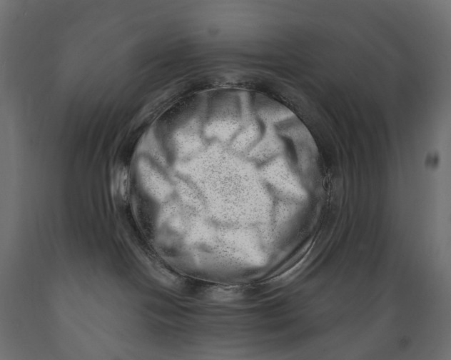 X0000088900094200707061504