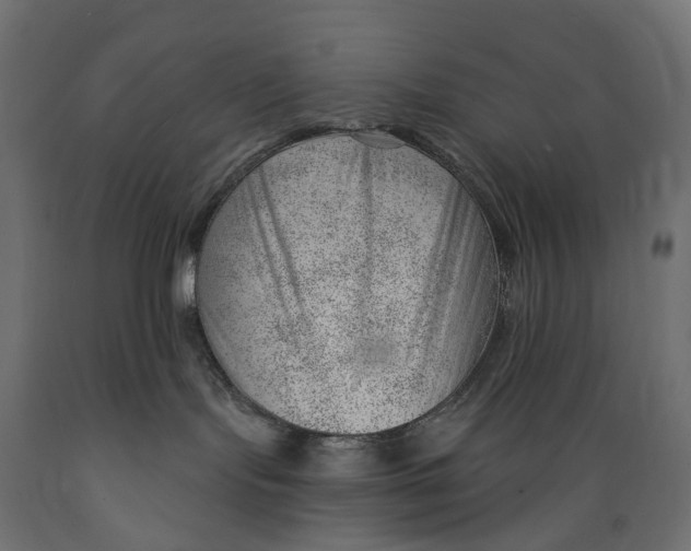 X0000088900095200707061504