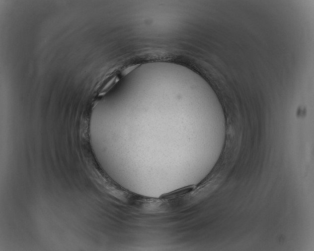 X0000088900096200707061505