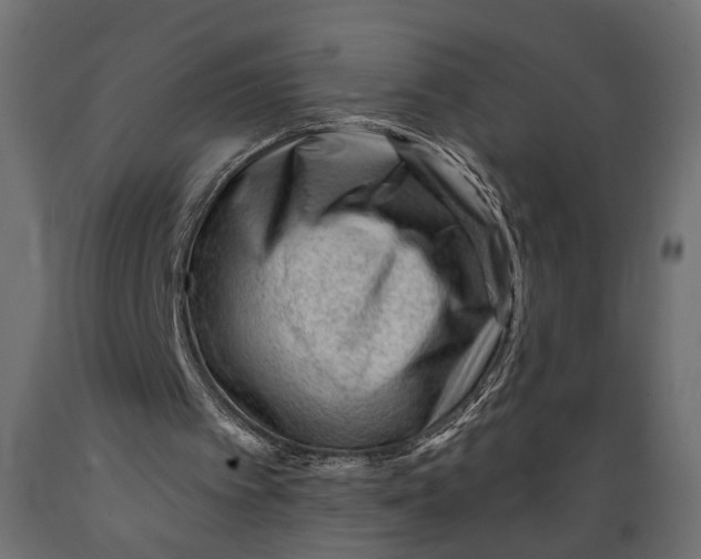 X0000088900097200707061504