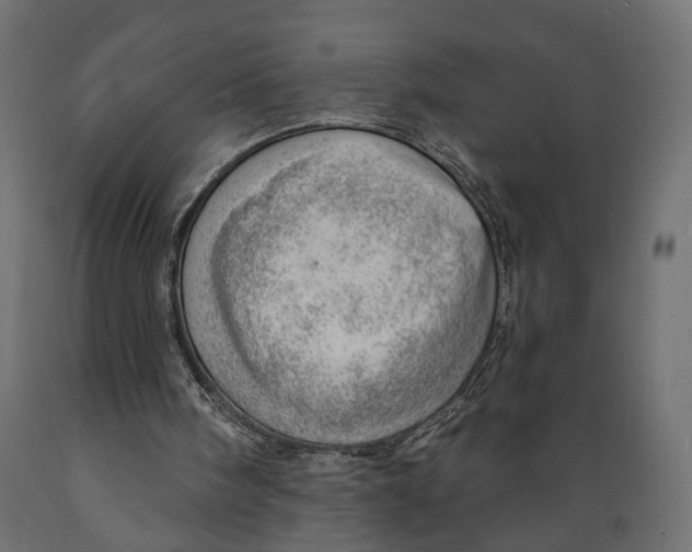 X0000088900098200707061504