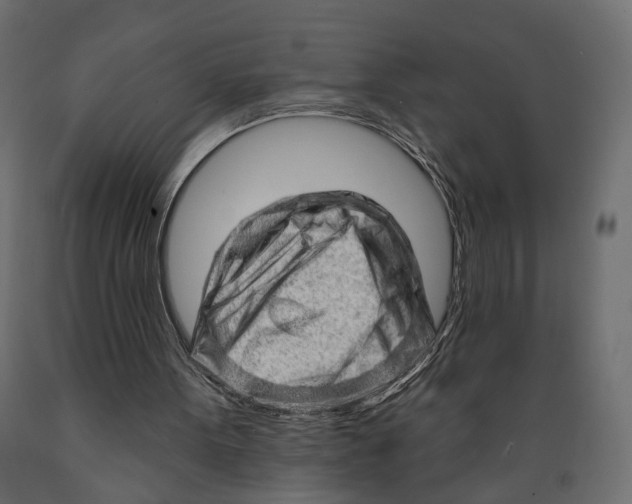 X0000088900099200707061504