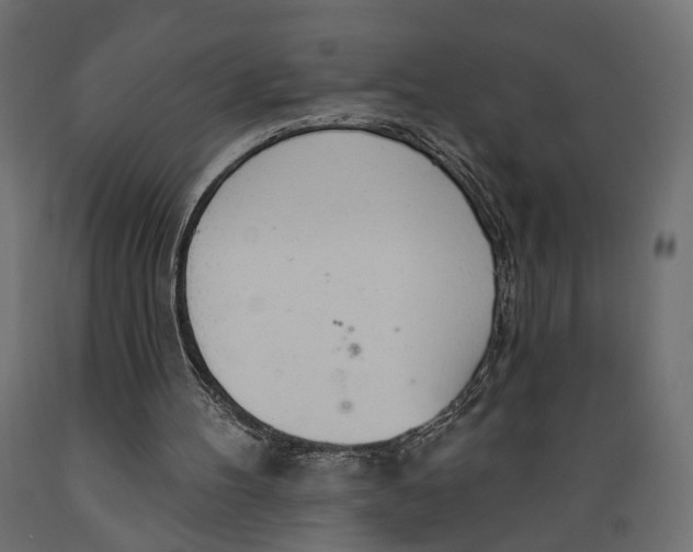 X0000088900100200707061503