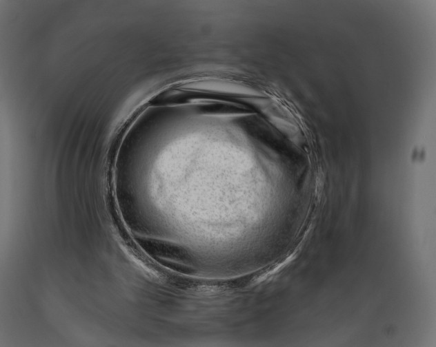 X0000088900101200707061503