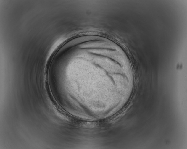 X0000088900102200707061503