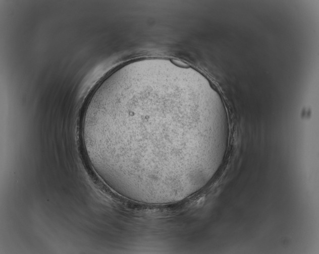 X0000088900103200707061503