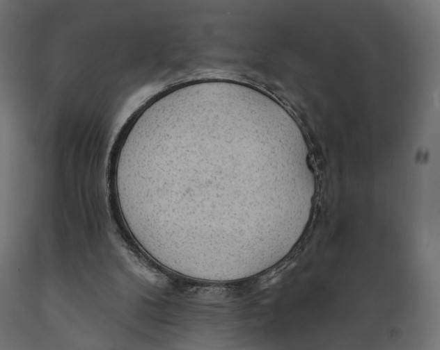 X0000088900104200707061503