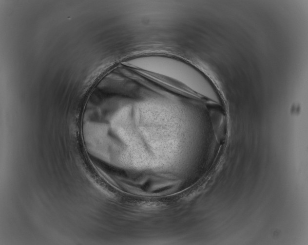 X0000088900105200707061503