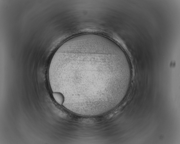 X0000088900106200707061503