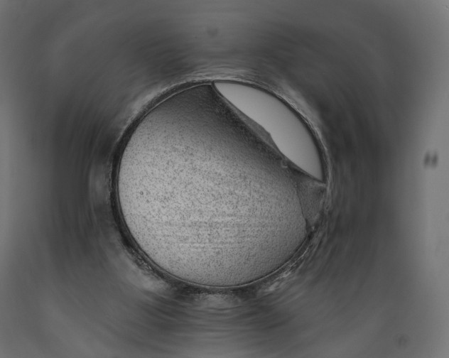 X0000088900107200707061503