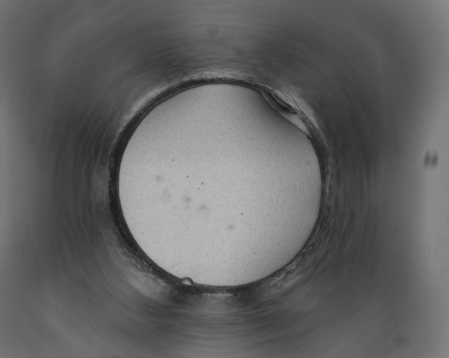 X0000088900108200707061503